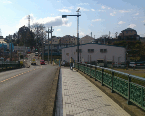 道