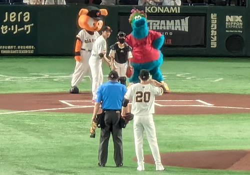 野球観戦