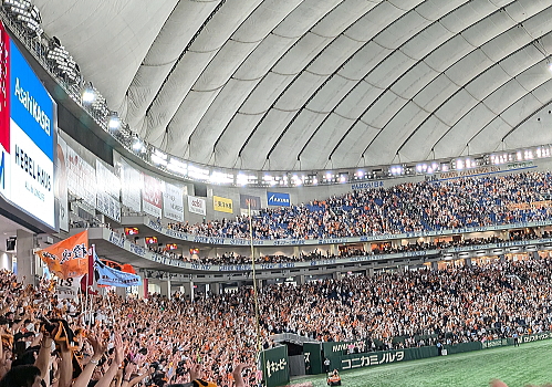 野球観戦