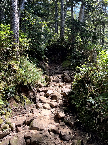 西穂高岳