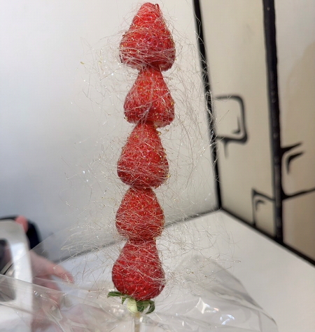 食べ歩き旅行