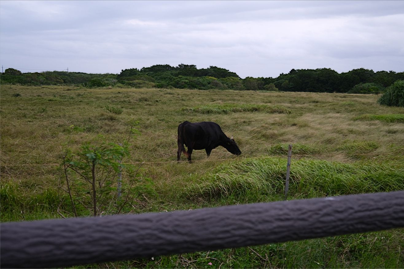 石垣島の旅