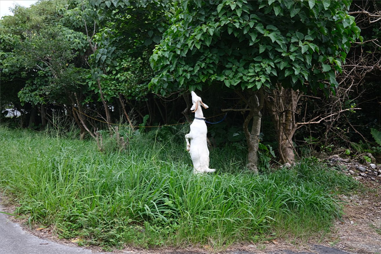 石垣島の旅