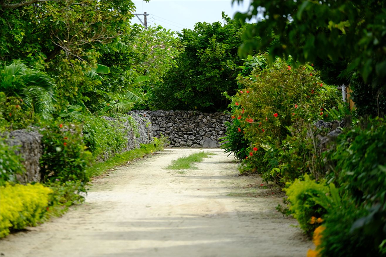 石垣島の旅