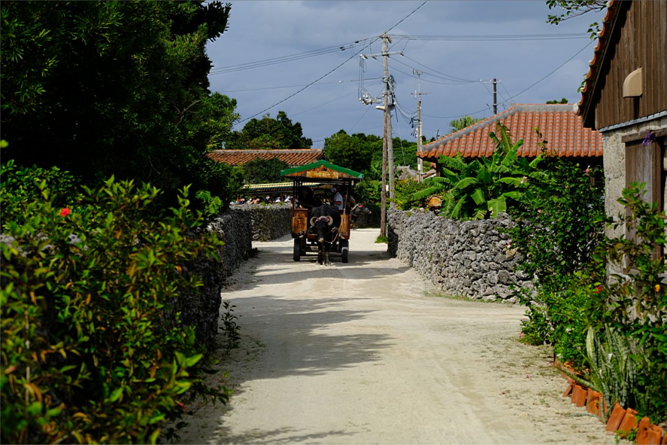 石垣島の旅